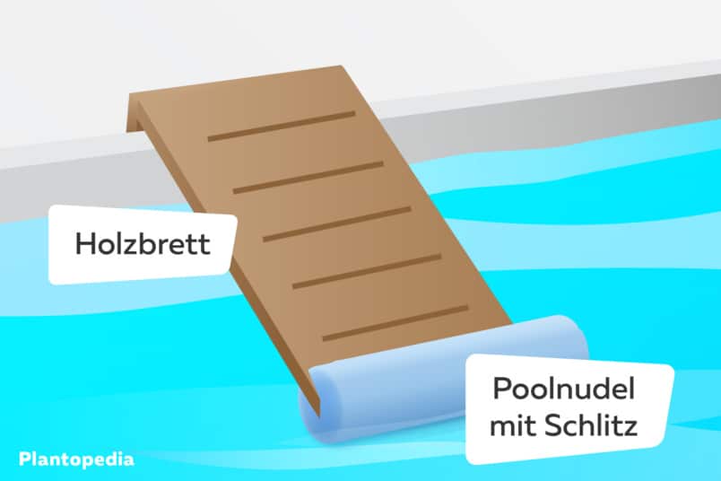 Poolausstiegshilfe