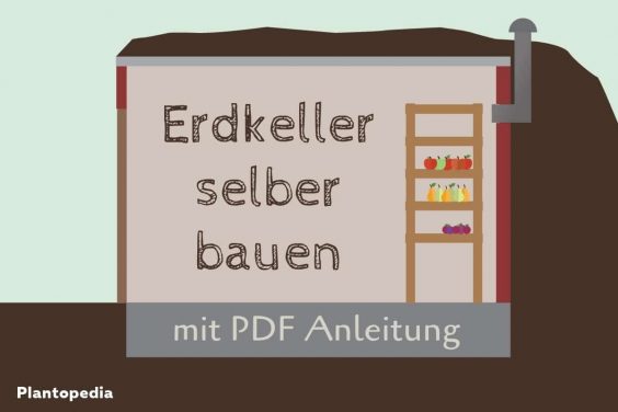 Erdkeller bauen - Titel