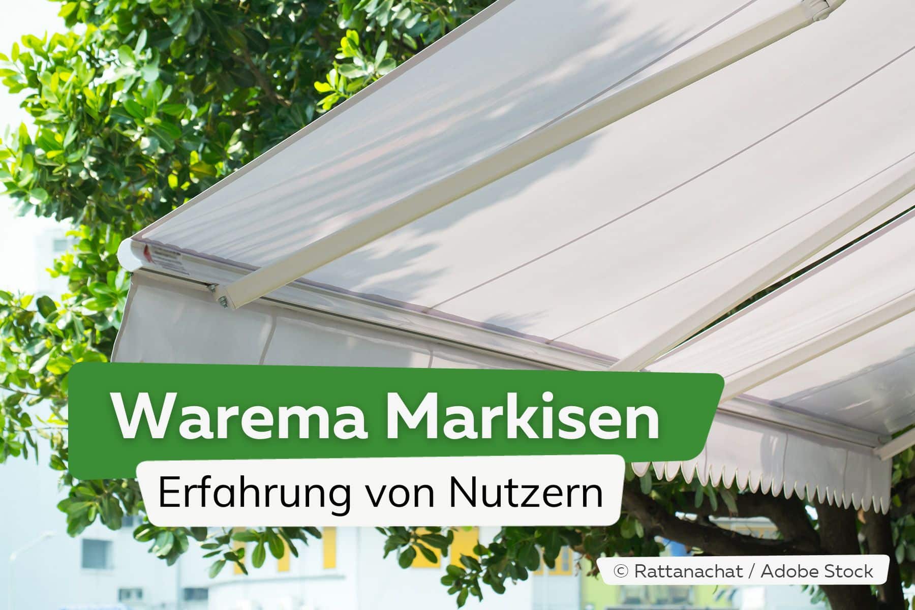 Warema Markisen: Erfahrung von Nutzern | Weiße Markise vor einem Baum