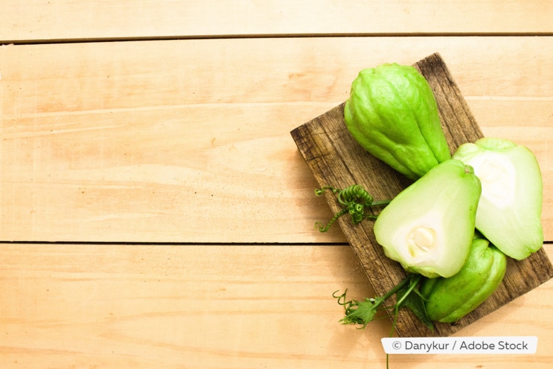 Chayote (Sechium edule)