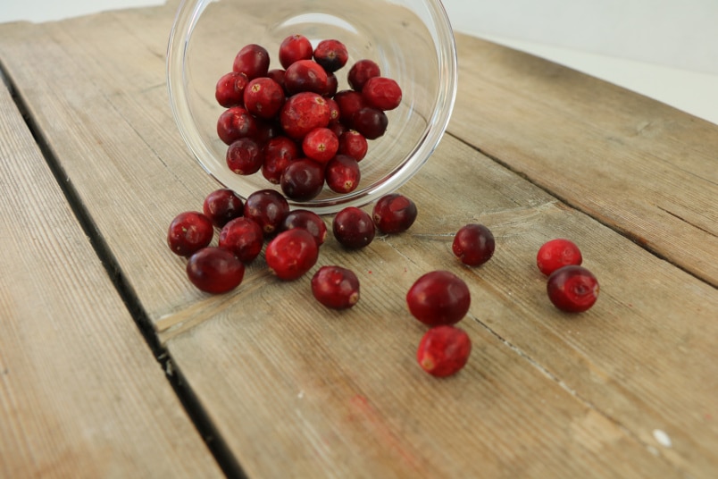 Cranberry (Vaccinium subg. Oxycoccus)