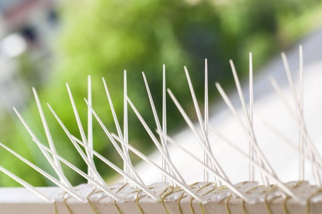 Spikes für Tauben an Balkon