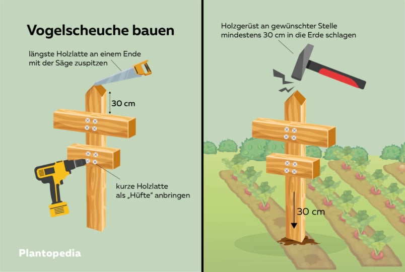 Vogelscheuche bauen, Gerüst