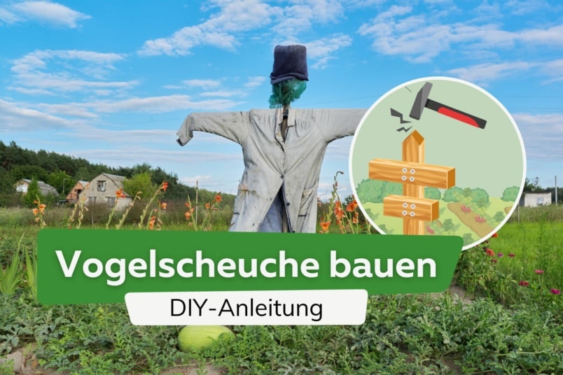 Wirksame Vogelscheuche bauen: DIY-Anleitung