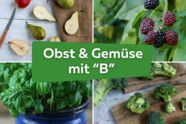 22 Obst, Früchte und Gemüse mit "B" am Anfang | Birne, Blaubeeren, Basilikum und Brokkoli