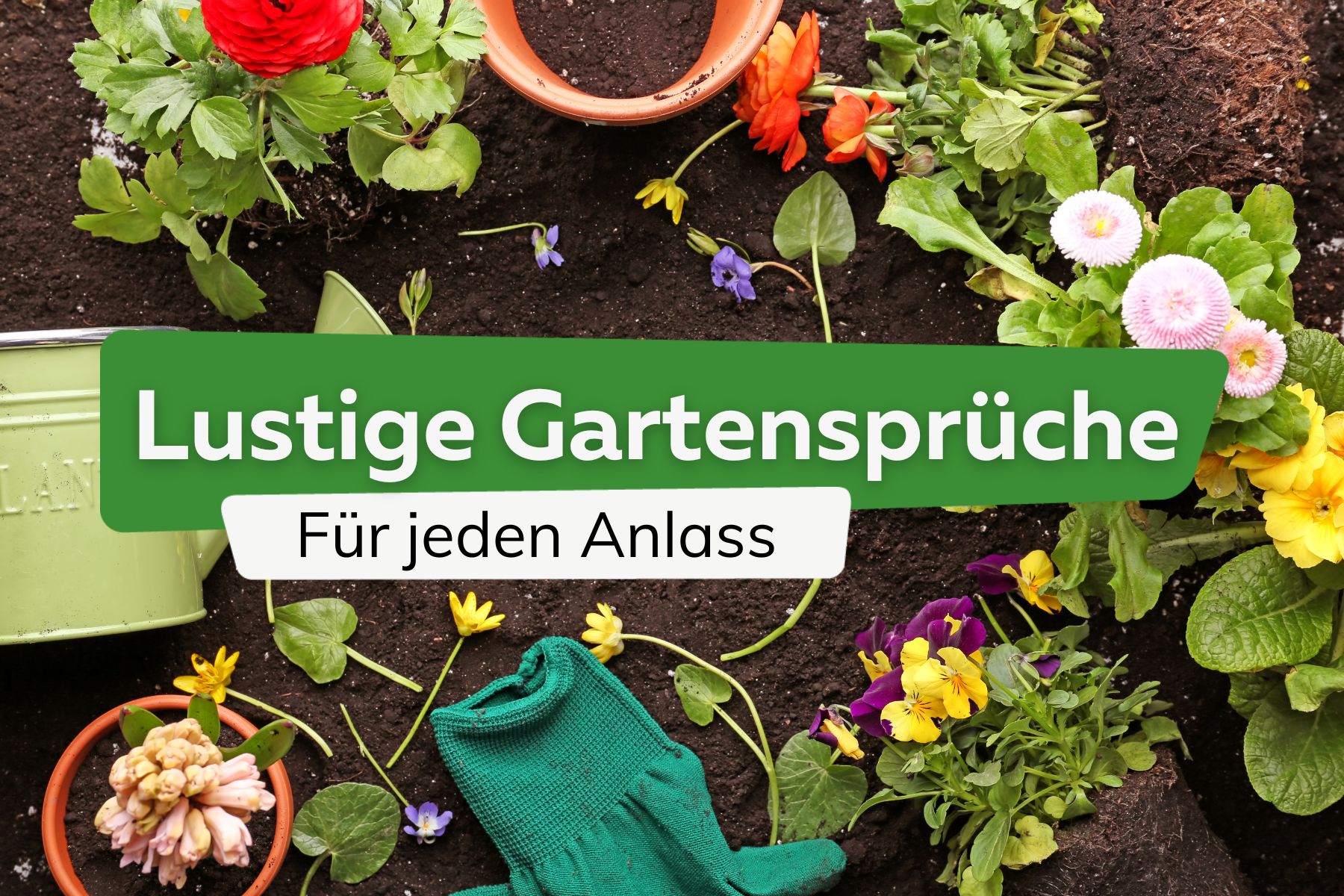 Kurze, lustige Gartensprüche für jeden Anlass | verschiedene Gartenutensilien und Pflanzen