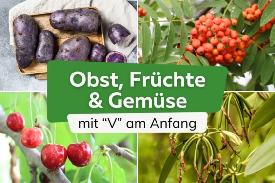 Obst, Gemüse und Früchte mit V