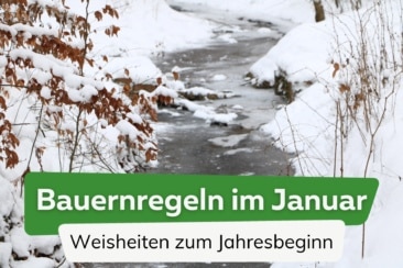 Bauernregeln im Januar