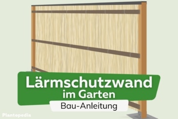 Bauanleitung: Garten-Lärmschutzwand selber bauen