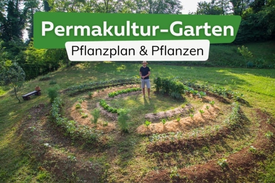 Permakultur-Garten: Pflanzplan und Pflanzliste