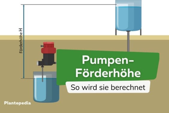 Förderhöhe einer Pumpe berechnen: Formel & Beispiele