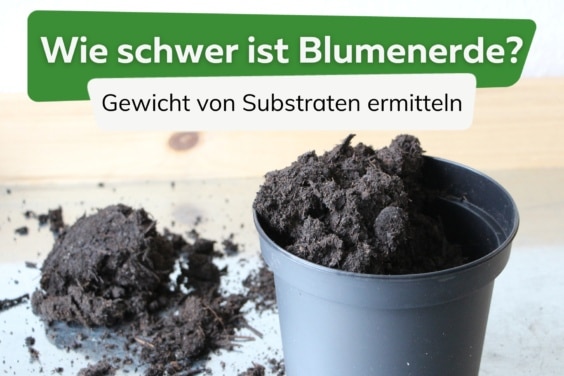 Gewicht von Blumenerde: 40, 50, 60, 70 Liter in kg