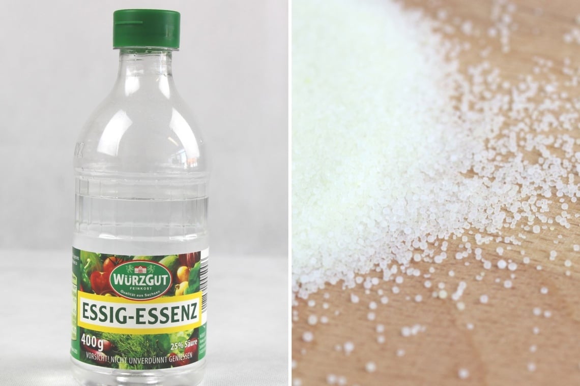 Flasche Essig-Essenz und Salz auf Tisch