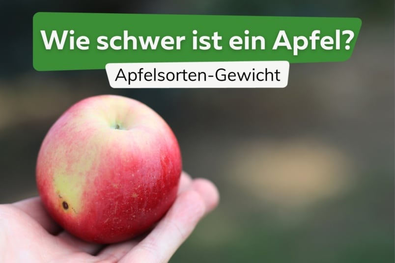 Wie viel Gramm wiegt ein Apfel?