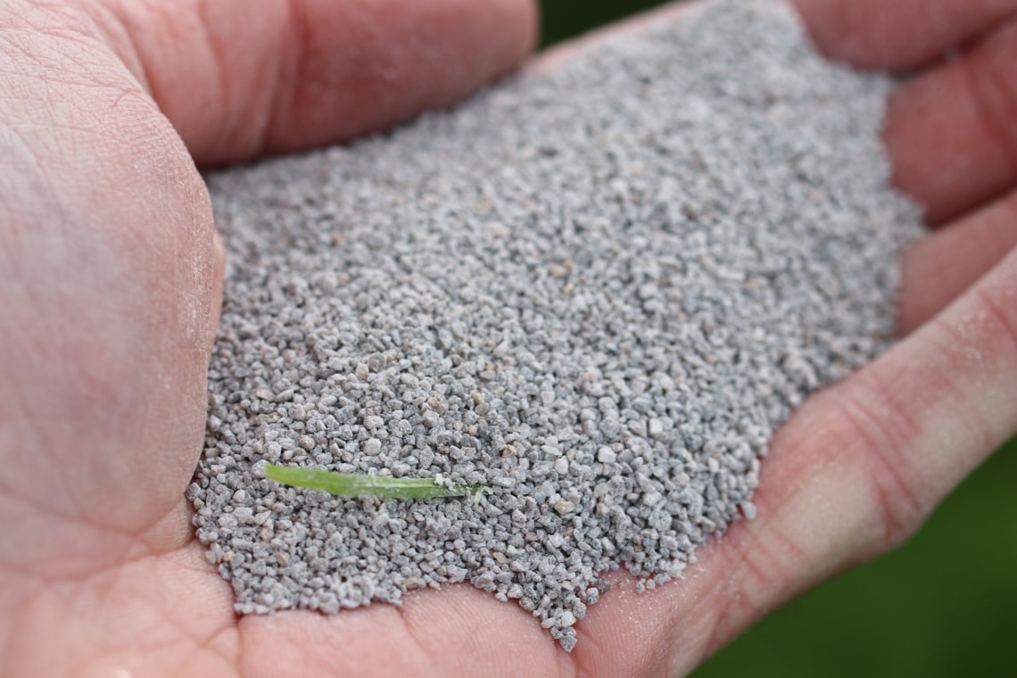 Eine Hand voller Gartenkalk