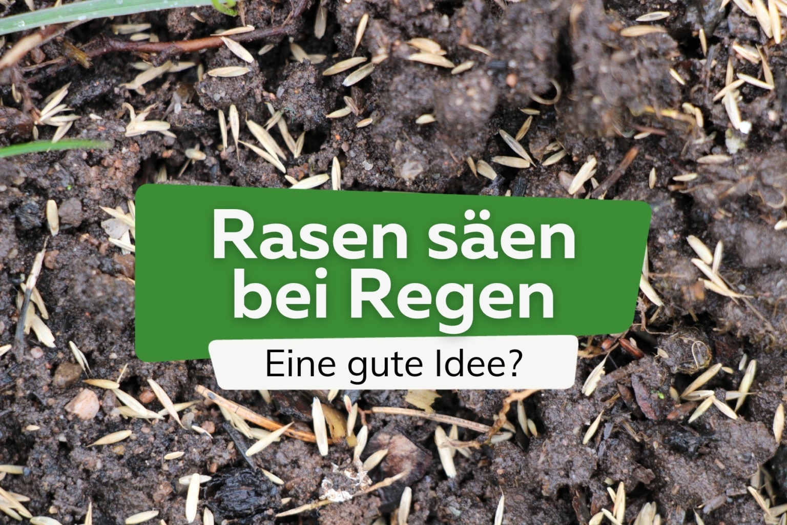 Rasen entfernen wie effektiv helfen Rindenmulch, Folie und Vlies?