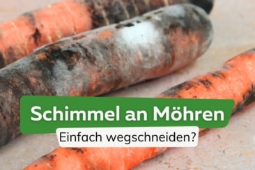 Schimmel an Karotten: kann man ihn wegschneiden?