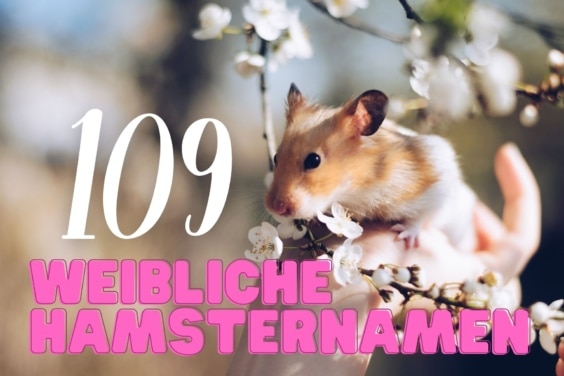 Weibliche Hamsternamen