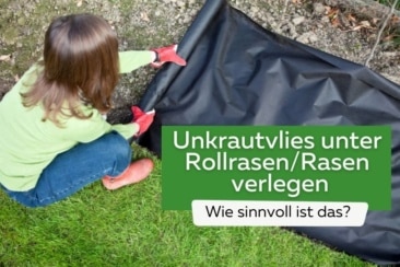 Unkrautvlies unter Rollrasen/Rasen verlegen Titel