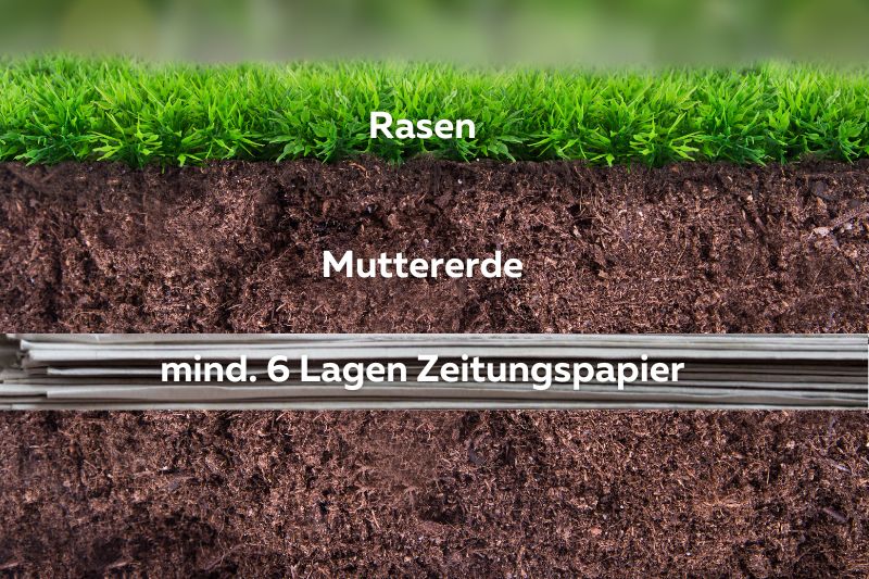 Querschnitt: Rasen auf Mutterboden und Papier verlegt