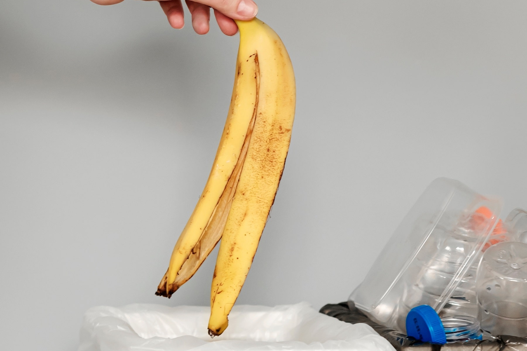 15 Pflanzen die Bananenschalen als Dünger lieben