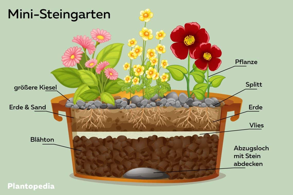 Mini-Steingarten anlegen