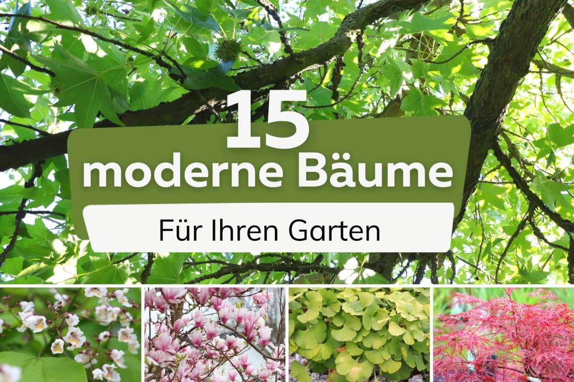 Moderne Bäume Titel