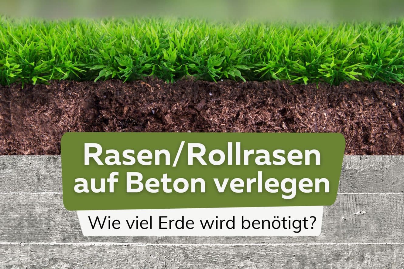 Boden ist zu hart was tun, wenn Rasen nicht wächst?