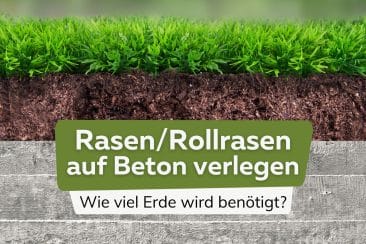 Rasen/Rollrasen auf Beton verlegen