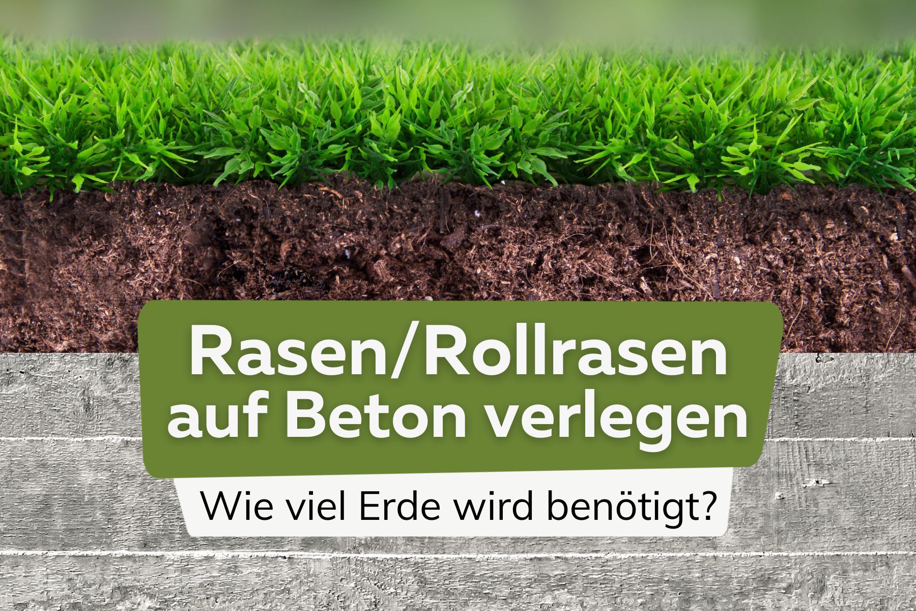 Rasen/Rollrasen auf Beton verlegen