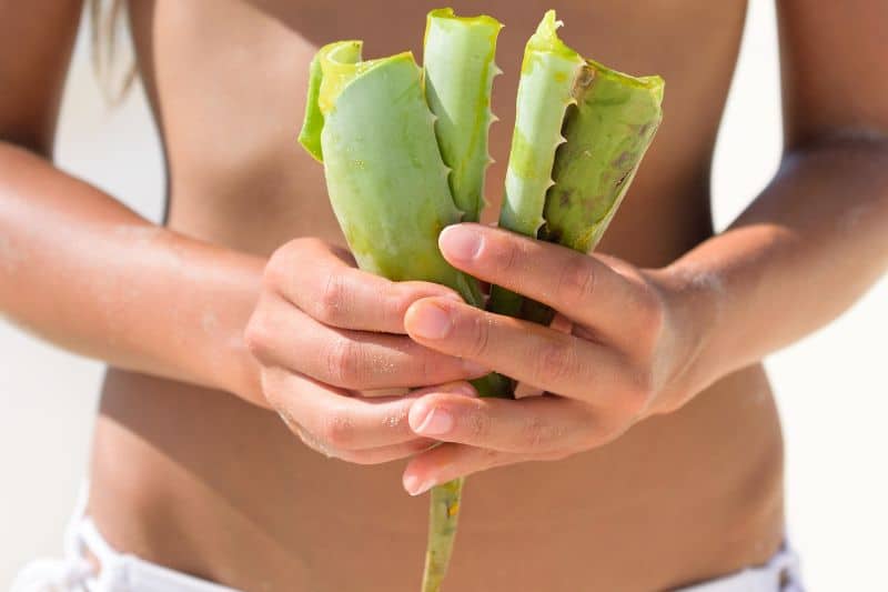 Frau in der Sonne hält am Strand abgeschnittene Aloe Vera Blätter in der Hand