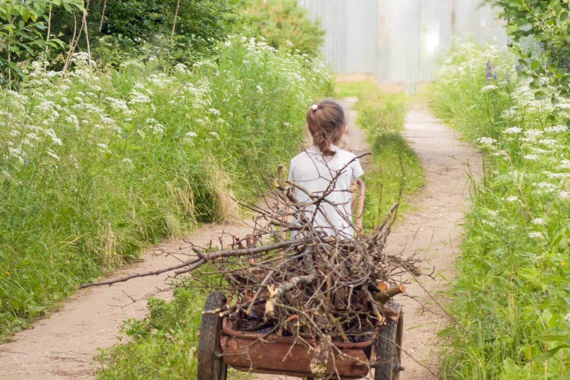 Mädchen zieht Handwagen mit im Wald gesammelten Holz