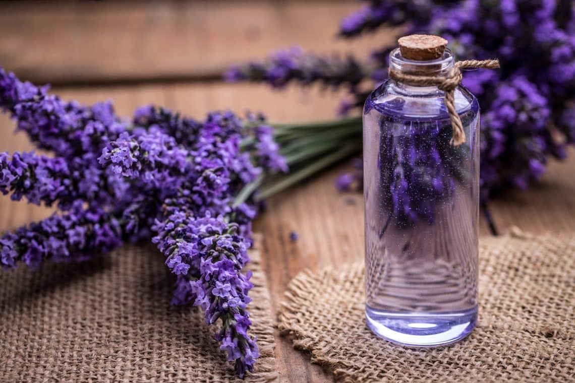 Lavendelöl und getrockneter Lavendel auf Tisch