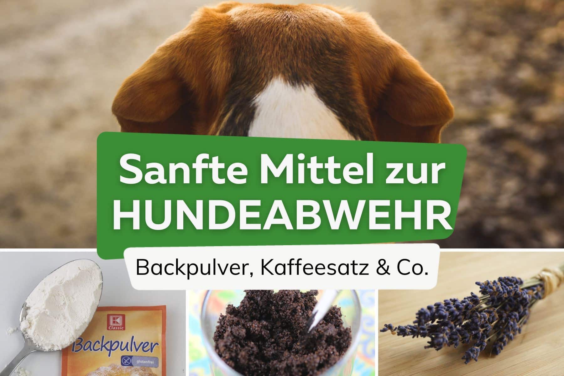 sanfte Hundeabwehrmittel