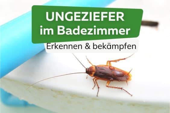 Ungeziefer im Bad