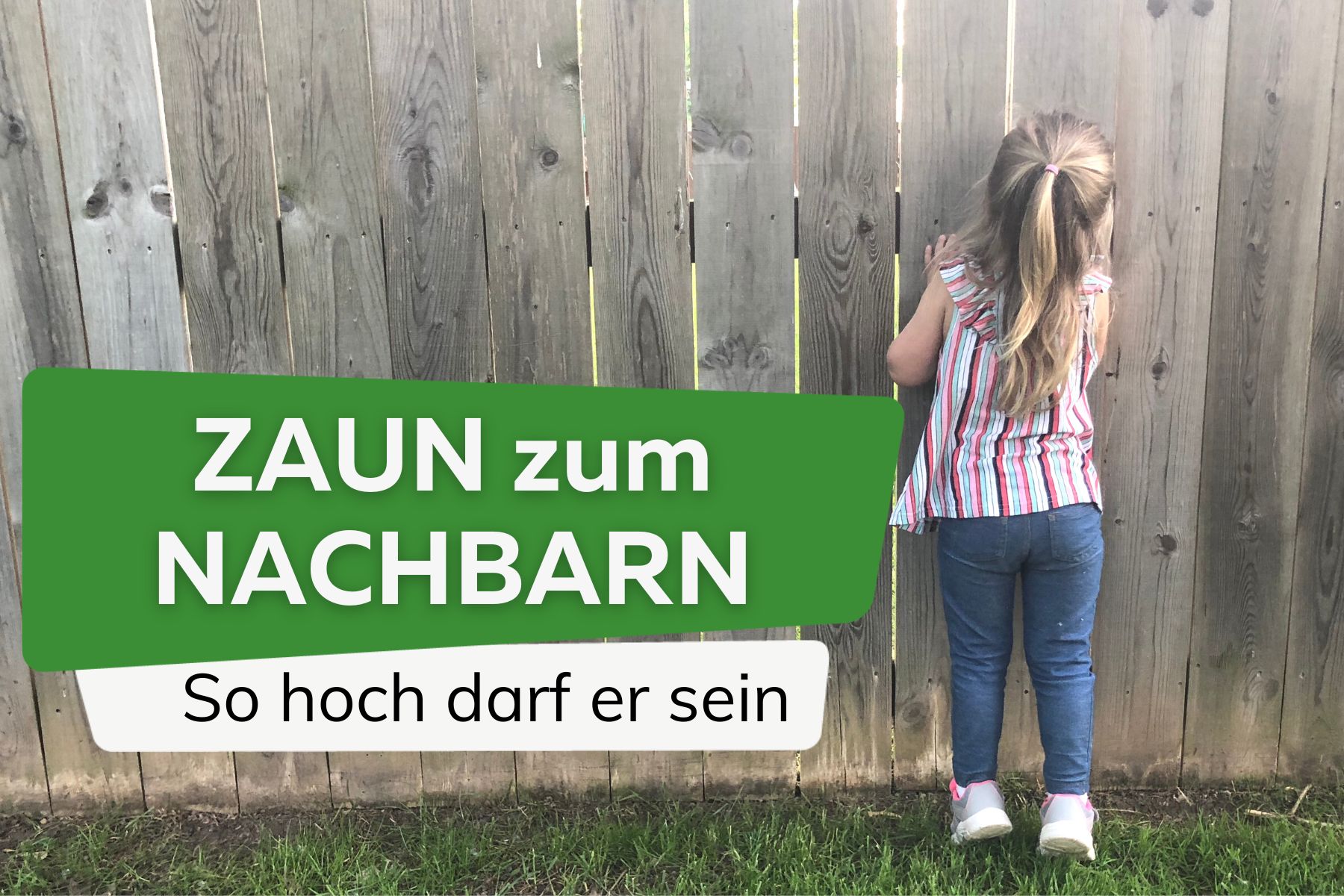 Wie hoch darf ein Zaun zum Nachbarn sein