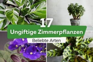 knstliche pflanzen bambus Kunstpflanze Bambus Minimalistisch