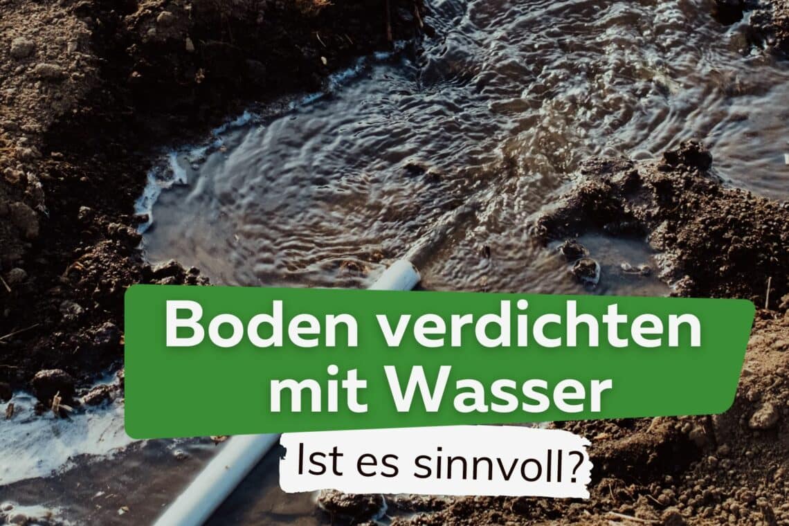 Boden mit Wasser verdichten