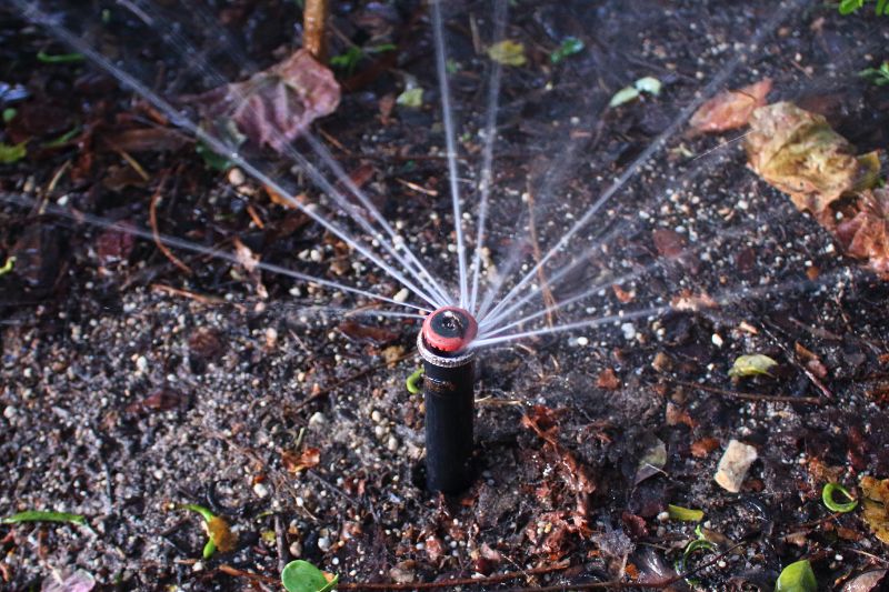 Boden mit Sprinkler wässern