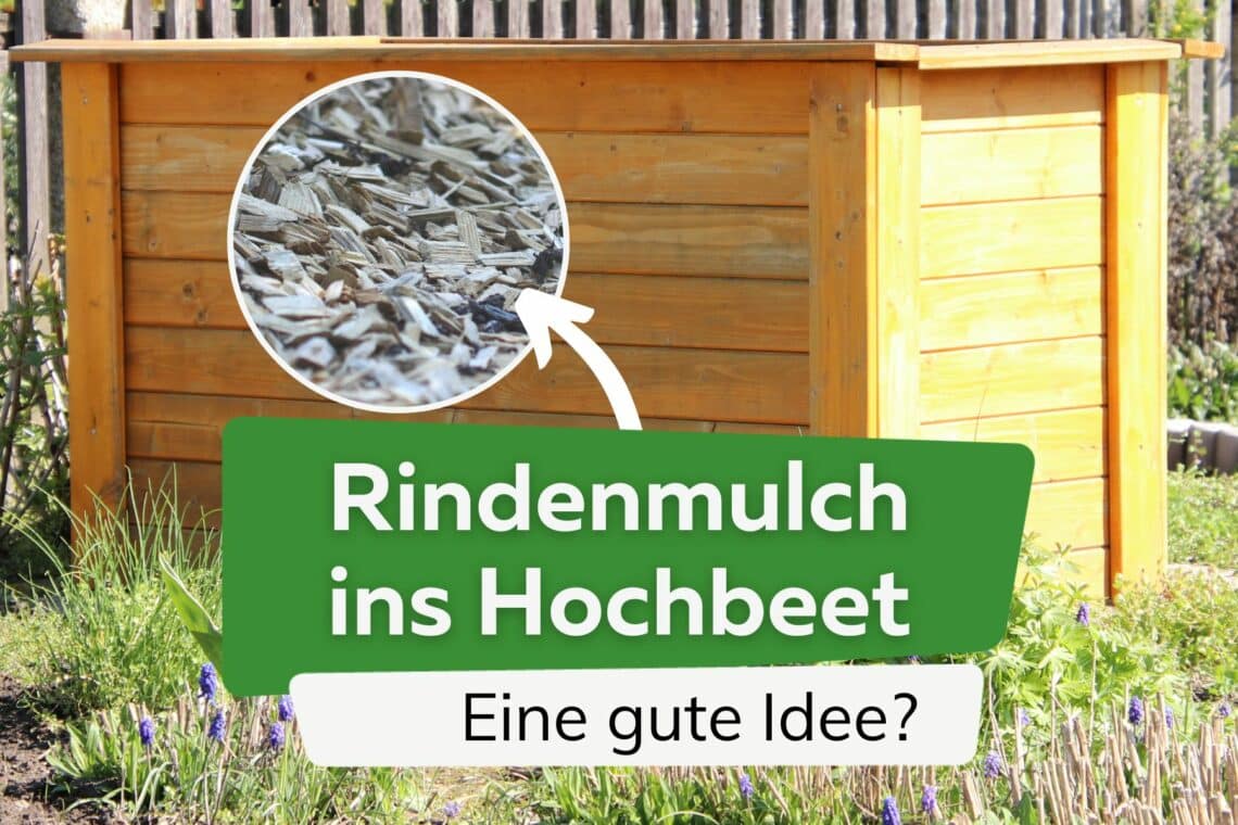 Hochbeet mit Rindenmulch befüllen