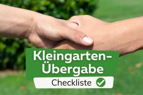 Kleingarten-Übergabe