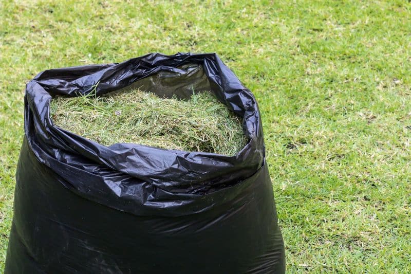 Rasenschnitt in einem schwarzen Plastesack