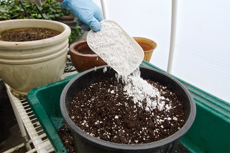 Blumenerde wird mit Perlite bestreut