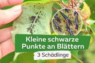 kaktus aufblasbar Aufblasbarer Kaktus-Eiskübel – TwentyFourParty main image 1