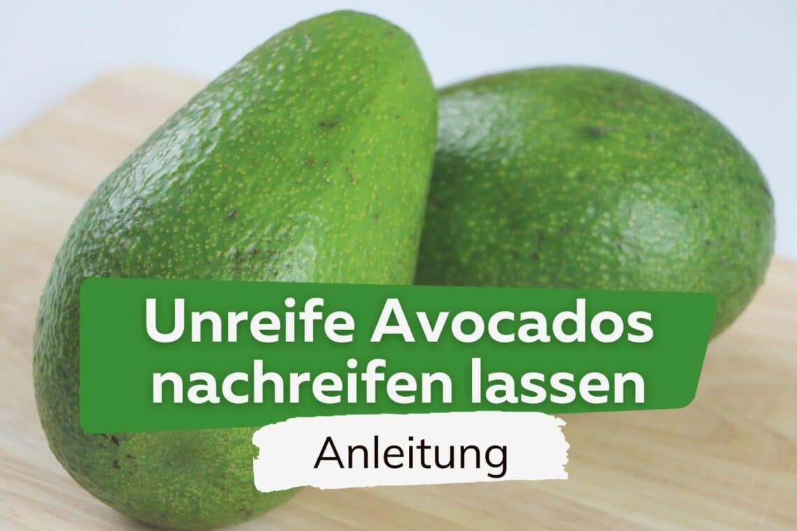 Unreife Avocados nachreifen lassen