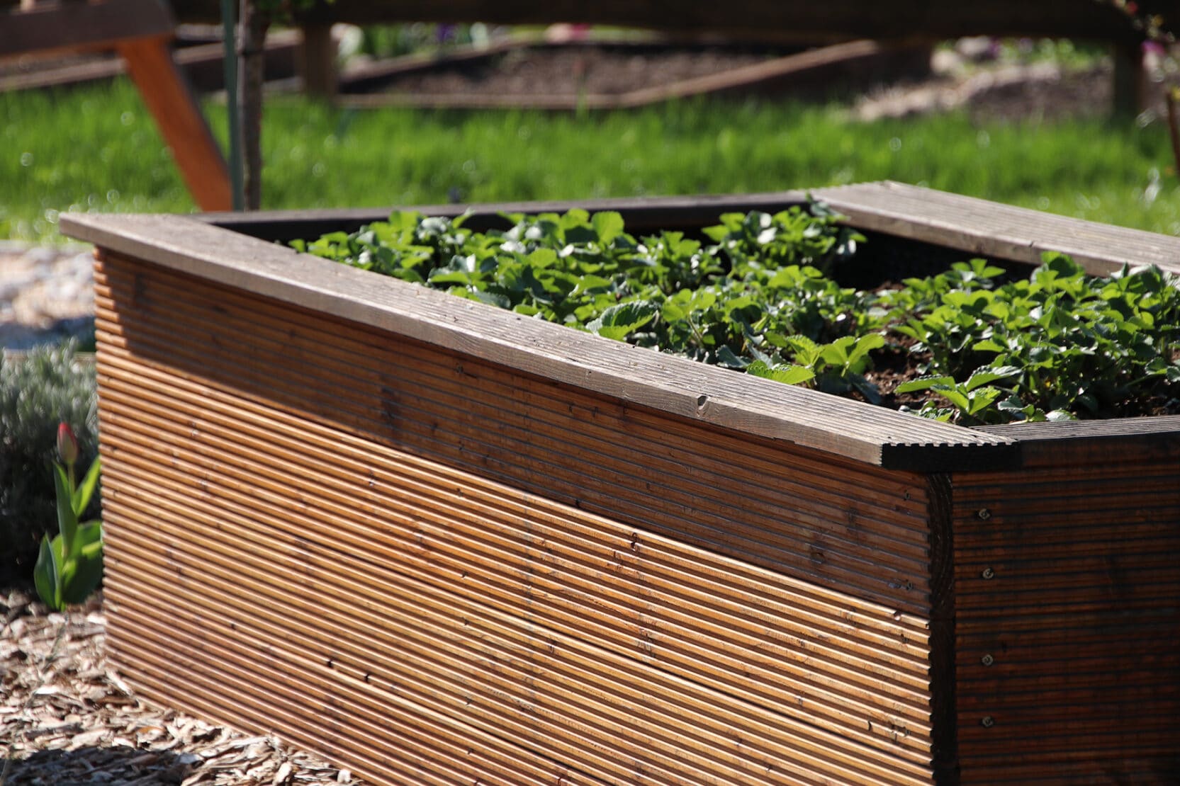 Hochbeet nur mit Erde befüllen ist es ratsam?