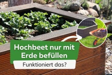 Hochbeet nur mit Erde befüllen: ist es ratsam?