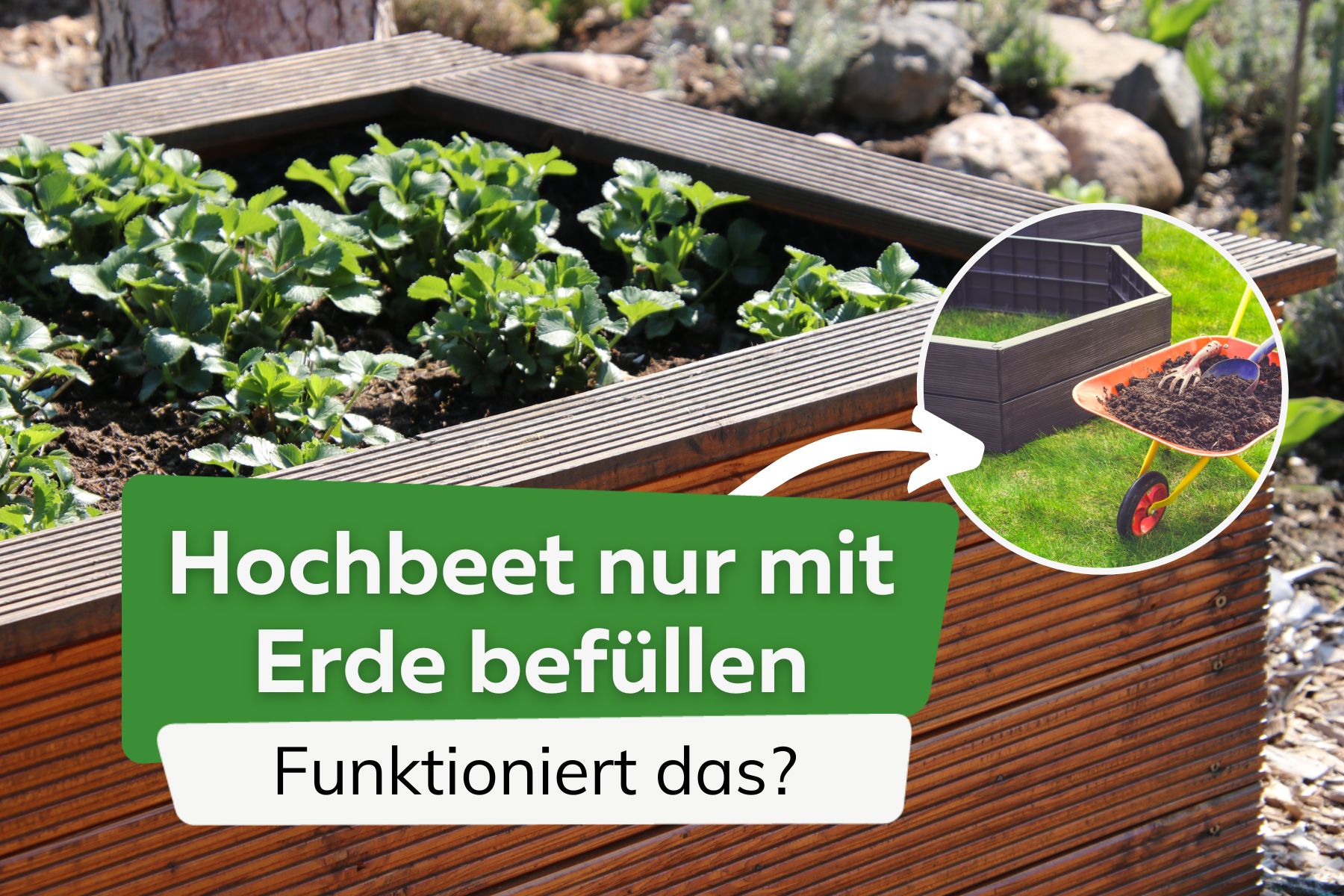 Hochbeet nur mit Erde befüllen: ist es ratsam?