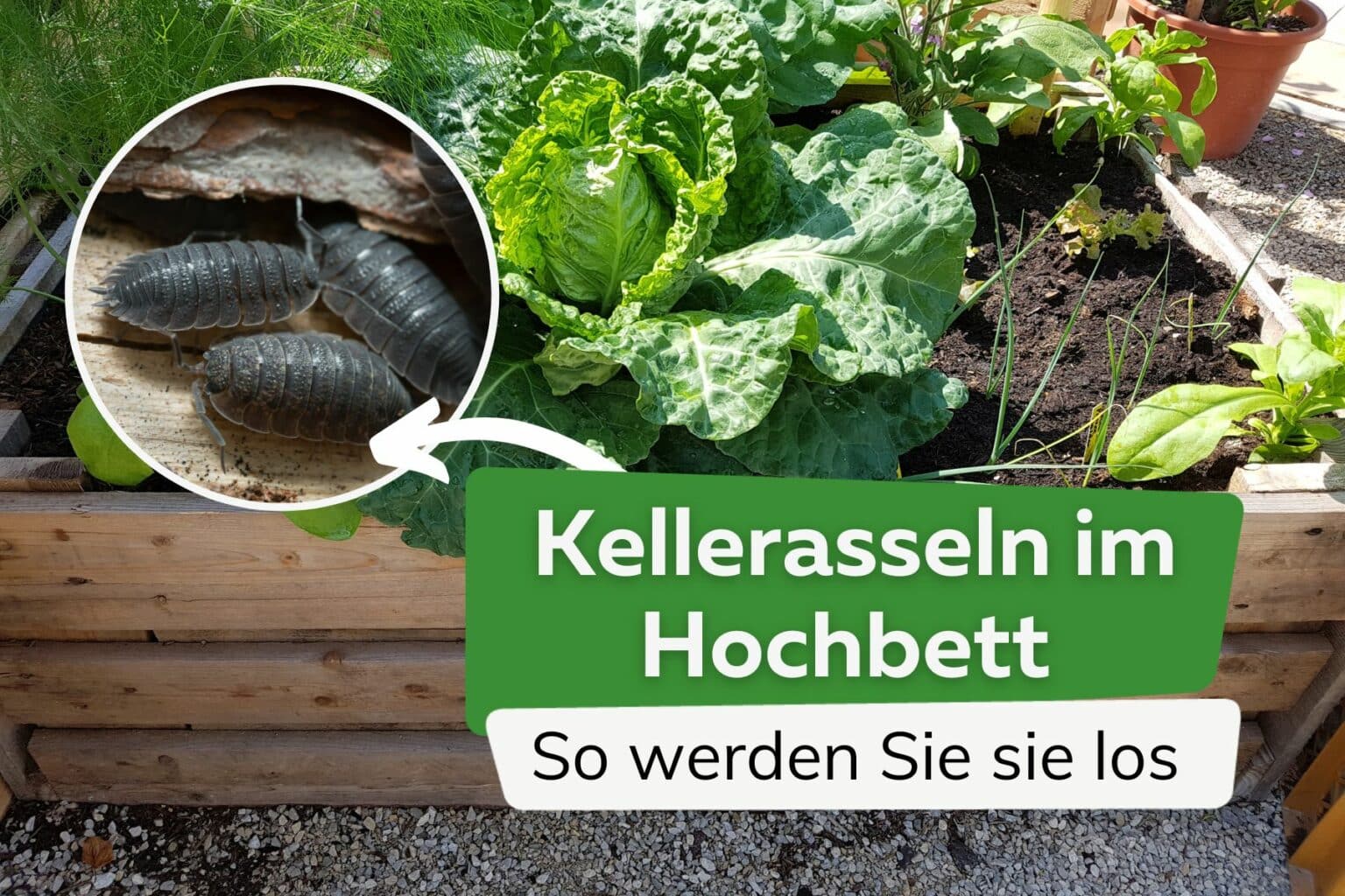 Wrmer Im Hochbeet