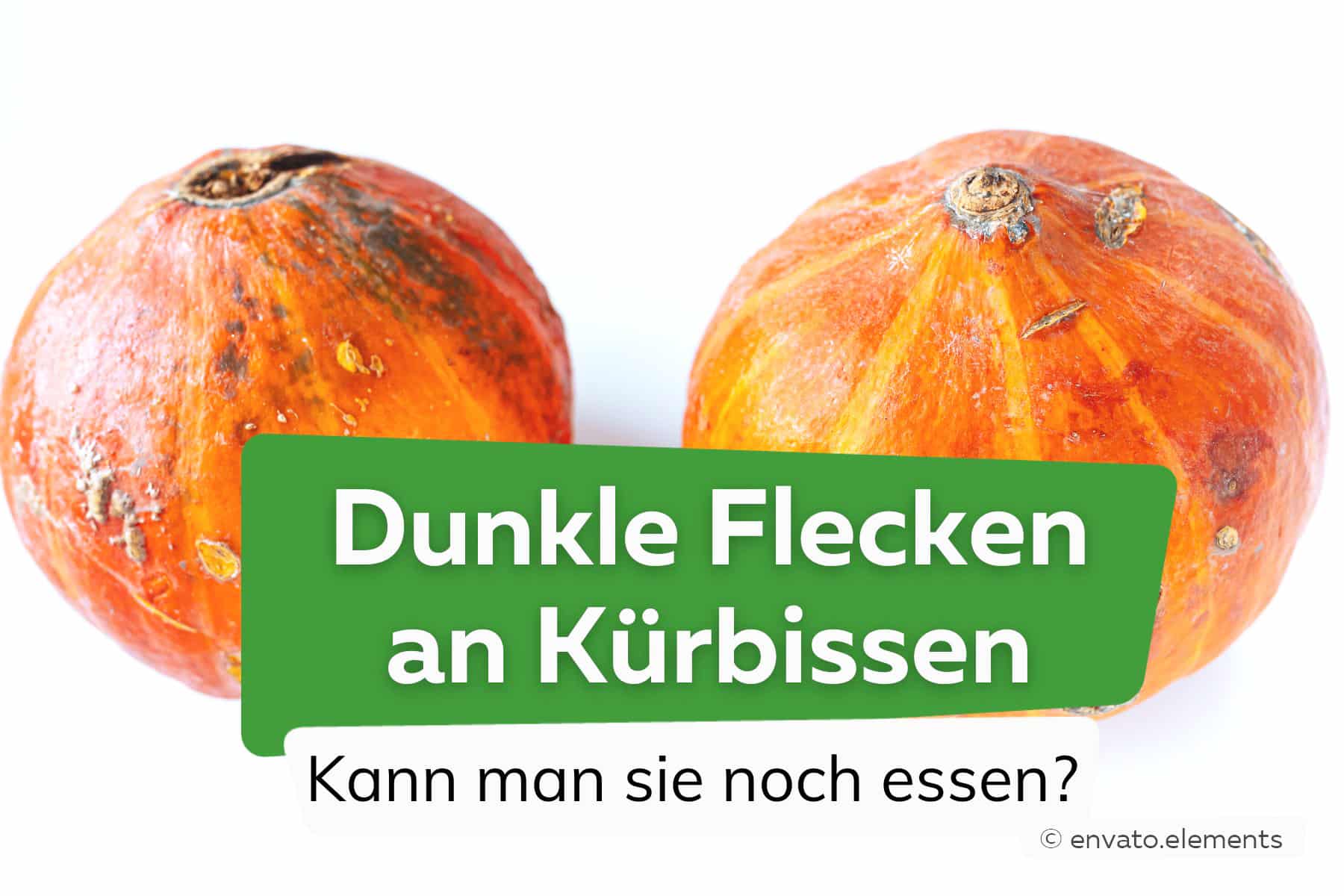 Kürbis bekommt braune Flecken